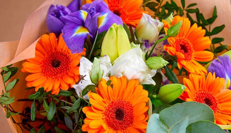 "Necochea Florece": Iniciativa para llenar de flores la ciudad y ayudar al Hospital