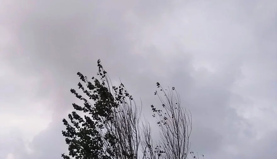 Cómo estará el clima en Necochea y Quequén este jueves 16-04