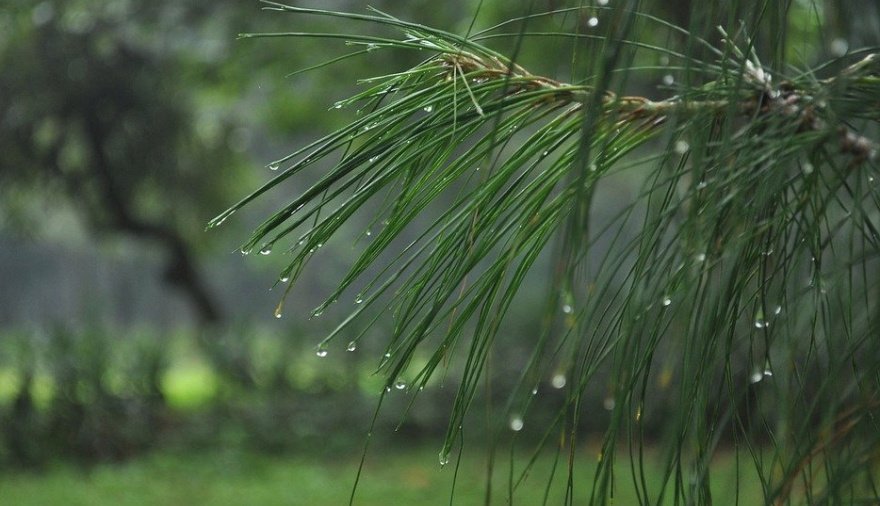 Cómo estará el clima en Necochea y Quequén este lunes 20-04