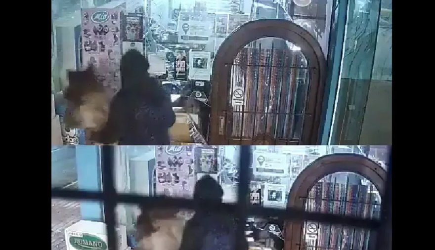 Insólito robo a caballo en Miramar: Asaltaron un kiosco en pleno centro y escaparon sin ser detenidos