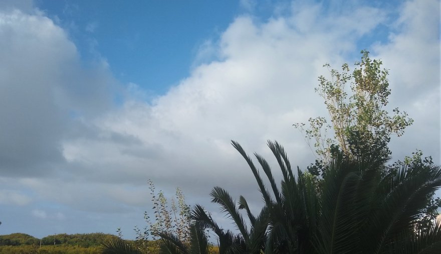 Cómo estará el clima en Necochea y Quequén este lunes 29-06