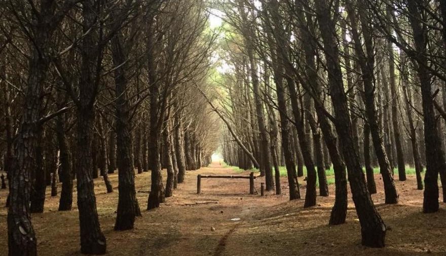 Cómo estará el clima en Necochea y Quequén este miércoles 22-07