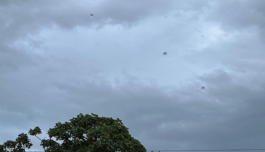 Cómo estará el clima en Necochea y Quequén este sábado 1-08