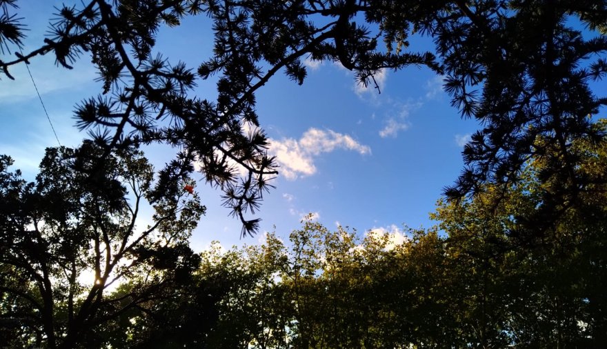 Cómo estará el clima en Necochea y Quequén este martes 04-08