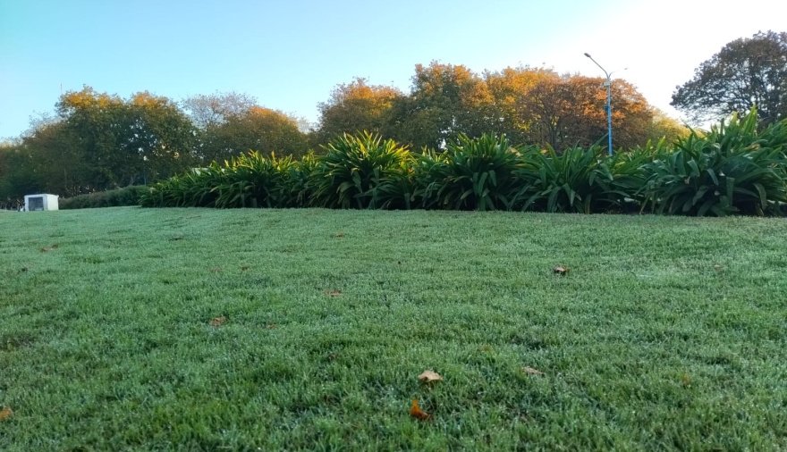 Cómo estará el clima en Necochea y Quequén este martes 11-08