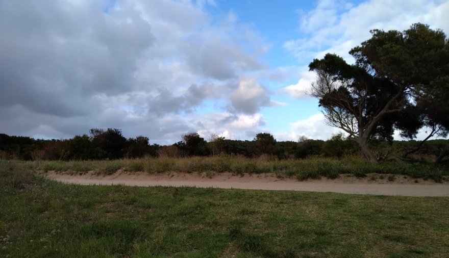 Cómo estará el clima en Necochea y Quequén este miércoles 12-08