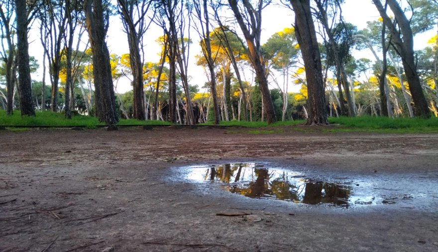 Cómo estará el clima en Necochea y Quequén este jueves 13-08