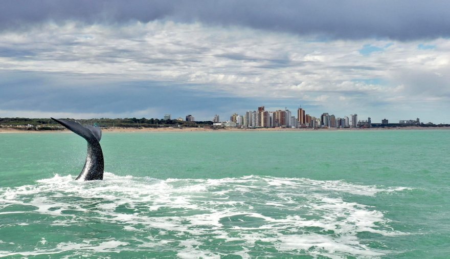 Cómo estará el clima en Necochea y Quequén este viernes 09-10