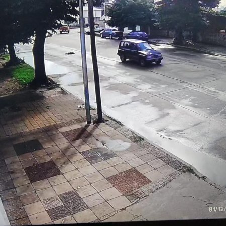 Buscan al conductor de una camioneta que atropelló y mató a la perra de una familia en Avenida 42