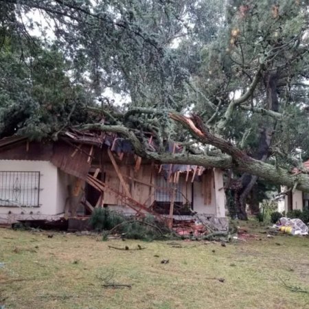 Fuerte temporal con granizo y ráfagas causó destrozos en Mar del Plata: más de 120 denuncias y barrios sin luz