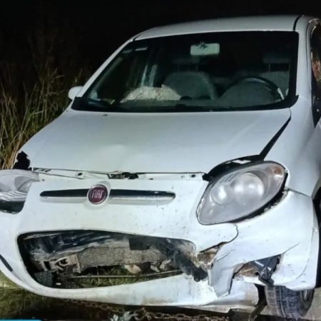 Tragedia en la Ruta 88: Un hombre murió tras una cadena de choques provocada por un carpincho