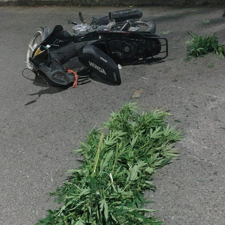 Motociclistas intentaron escapar con plantas de cannabis y terminaron chocando en plena persecución