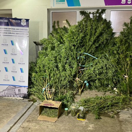 San Cayetano: Allanaron un domicilio y secuestraron marihuana
