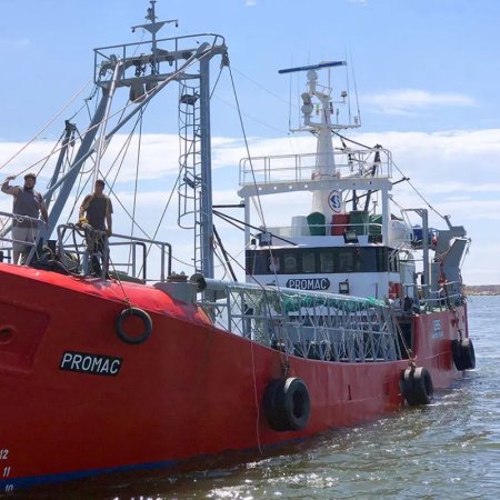 Crisis en la pesca: Advierten que la industria fresquera está al borde de la parálisis por el aumento del combustible