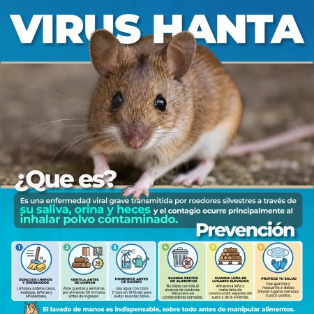 San Cayetano lanza advertencia sobre el Hanta Virus