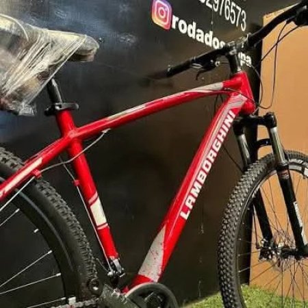 Ingresaron a una vivienda y robaron una bicicleta